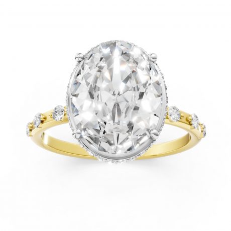 Show-stopping oval-cut diamond - White Head