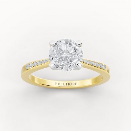 Brilliant round cut center diamond pavé band- White Head
