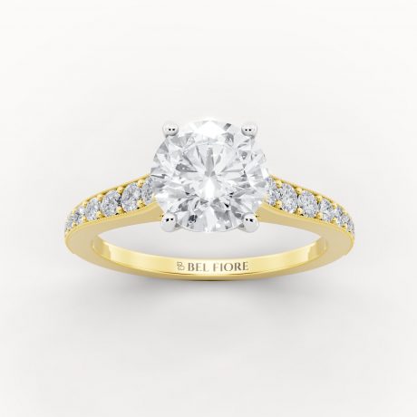 Brilliant round cut diamond -White Head