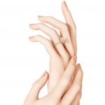 Screenshot 2026-02-19 121950